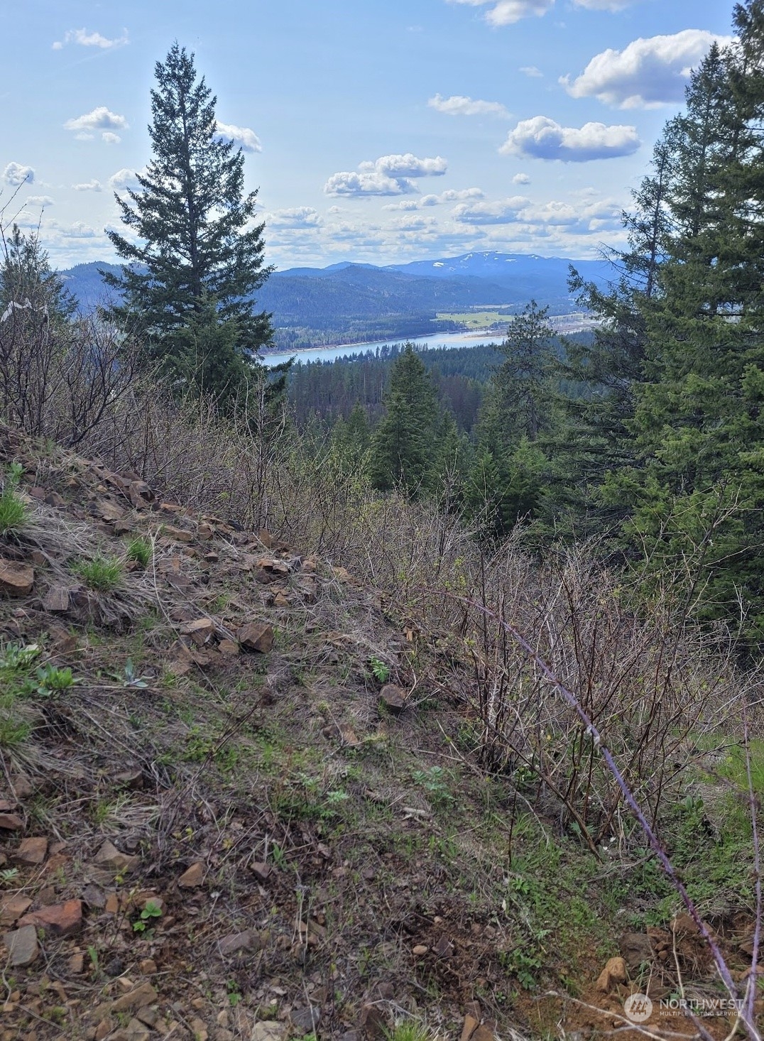 2401 Bead Lake Road Newport, WA 99156 - Photo 21 of 28 Gallery Image 21