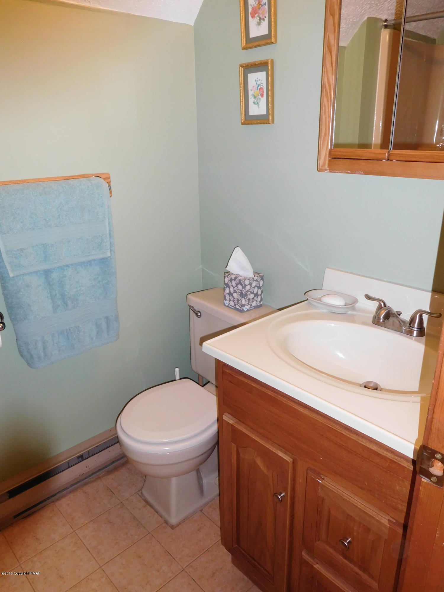 153 Maple Road Blakeslee, PA 18610 - Photo 19 of 32 a bathroom with a sink and a toilet