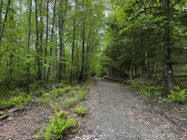 0 Patterson Bridge Road Madison, ME 04950 - Photo 2 of 9 IMG_5045
