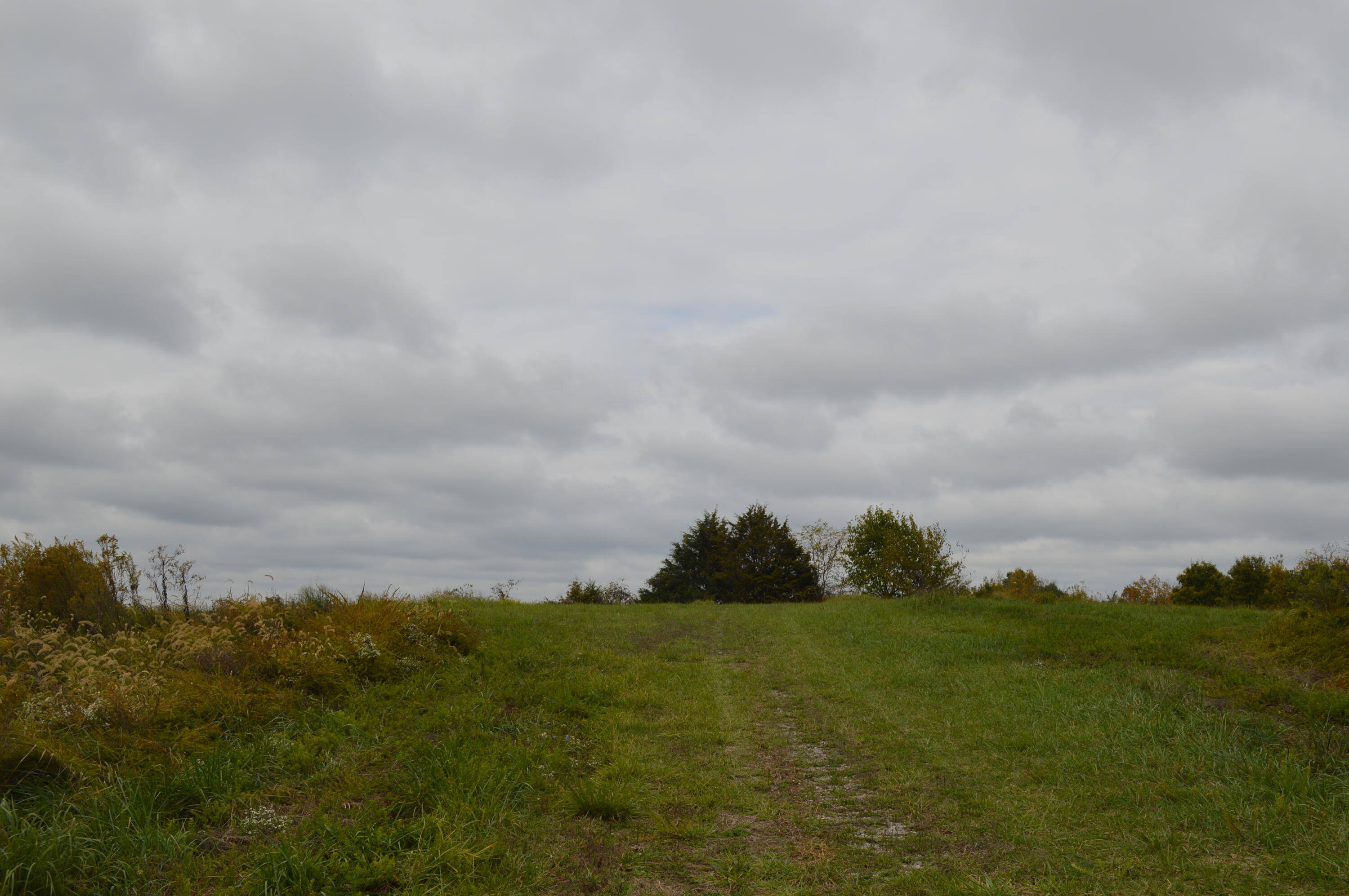 Lot #6 Georgetown Road Owenton, KY 40359 - Photo 7 of 24