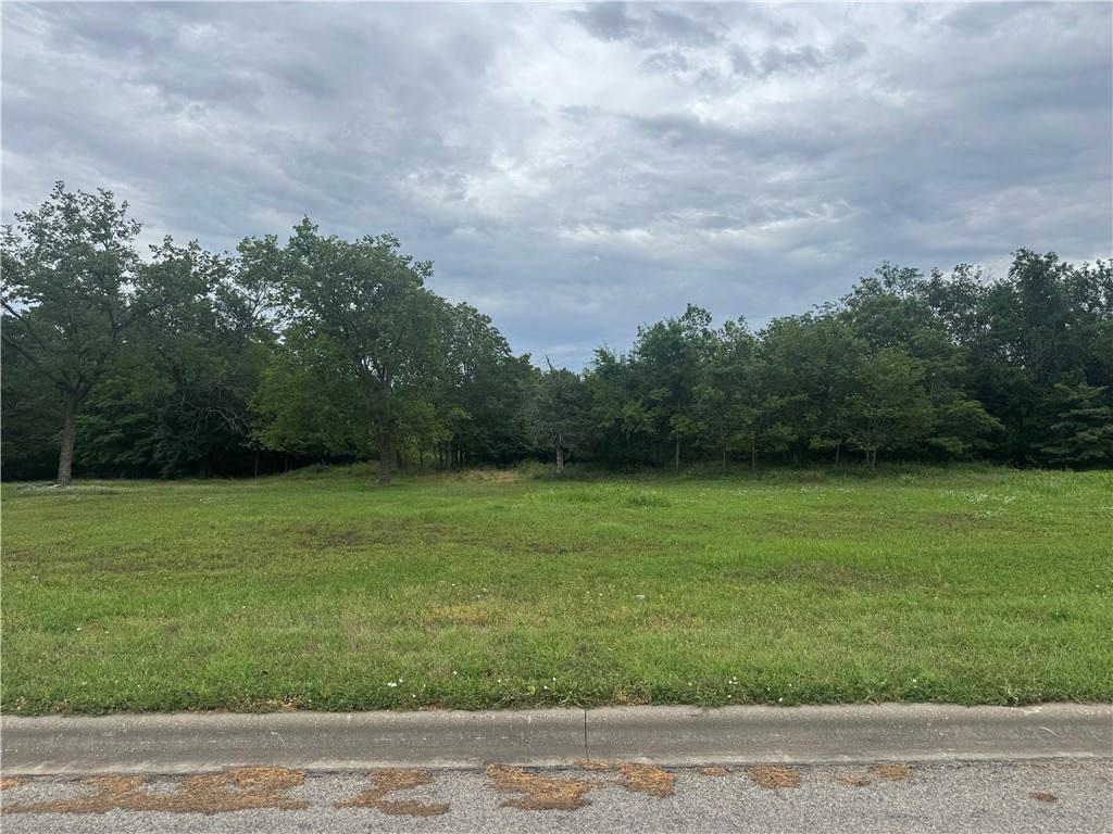 0 South Madison Street Fort Scott, KS 66701 - Photo 2 of 15