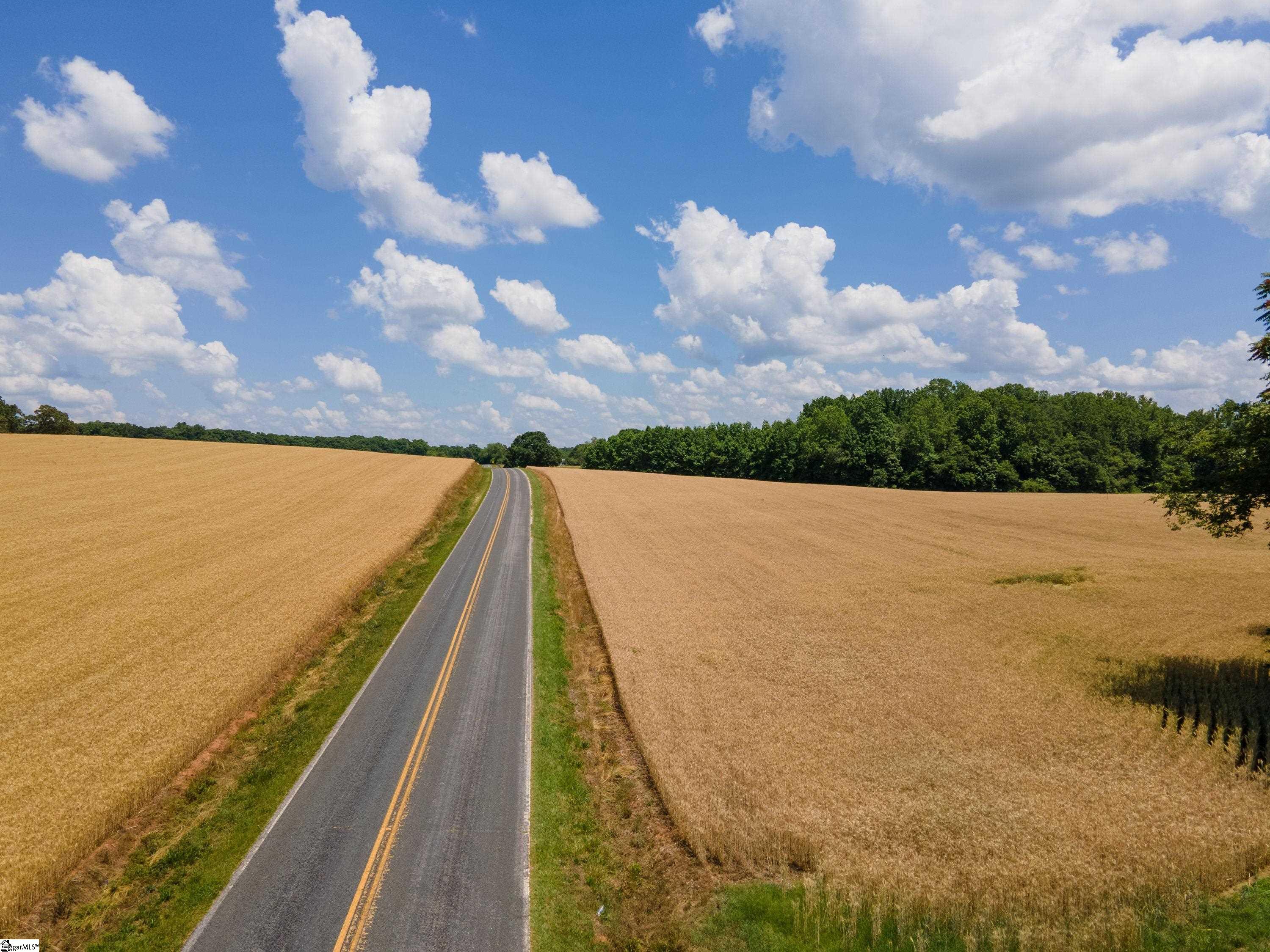 805 Breazeale Road Pendleton, SC 29670 - Photo 3 of 9
