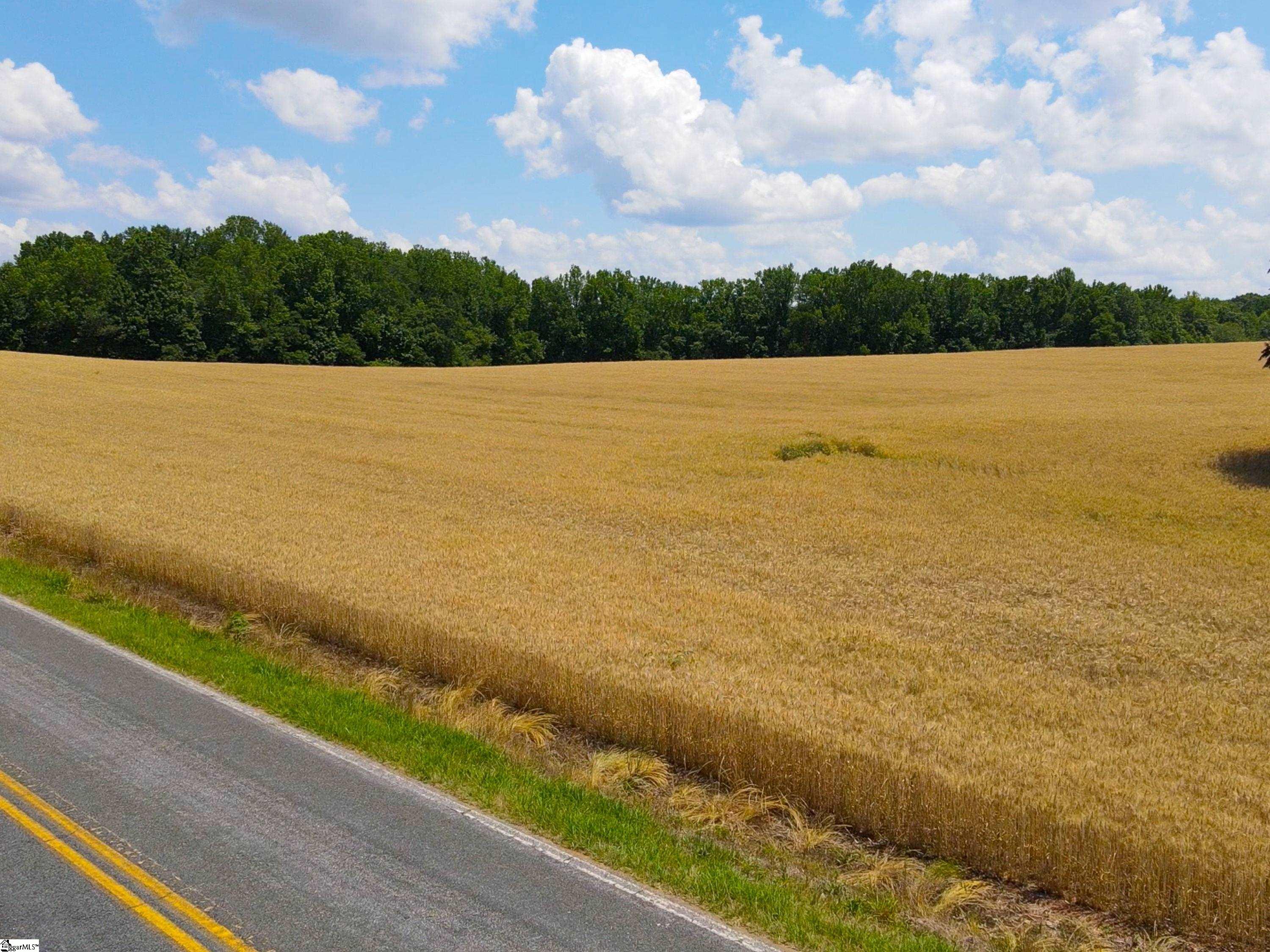 805 Breazeale Road Pendleton, SC 29670 - Photo 6 of 9