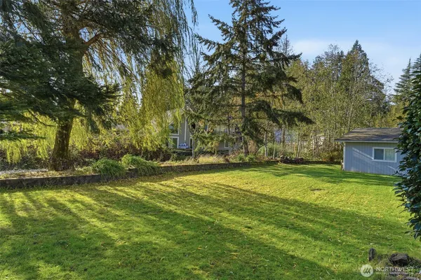 a view of a yard with a trees