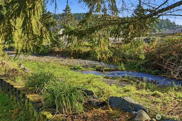 a view of a yard with plants and large trees