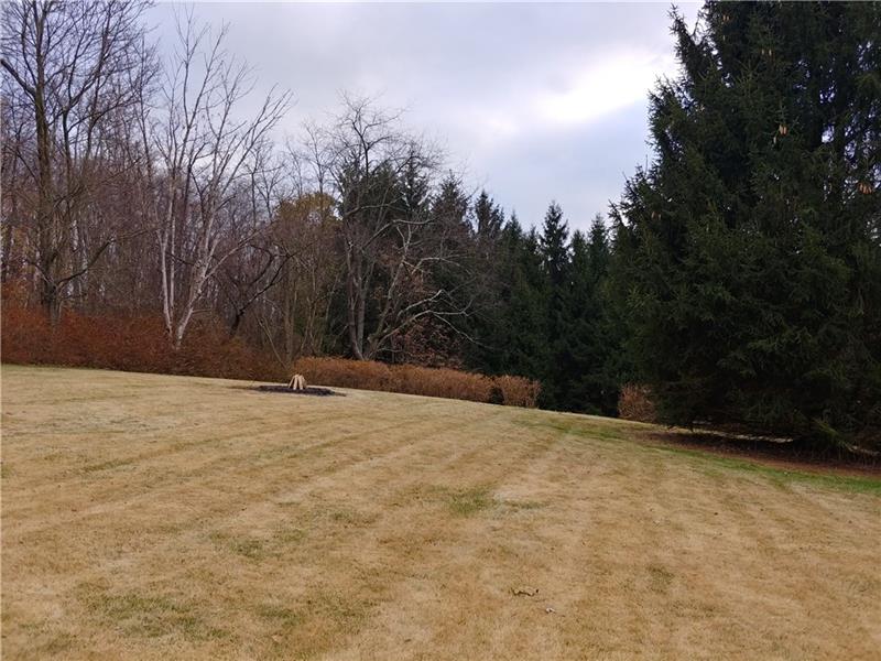 356 Middletown Road New Stanton, PA 15672 - Photo 12 of 15 View of backyard from rear of home.