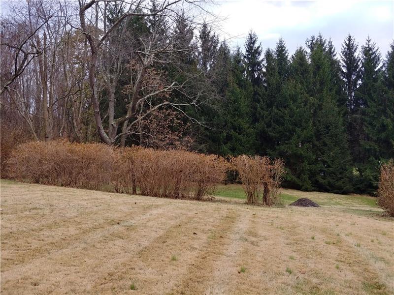 356 Middletown Road New Stanton, PA 15672 - Photo 13 of 15 The backyard extends beyond the bushes to the pines.
