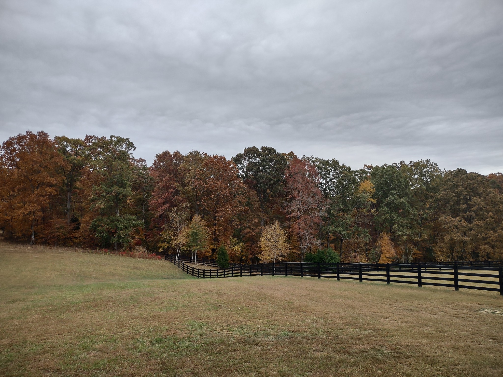 1239 Oak Grove Road Dickson, TN 37055 - Photo 53 of 54