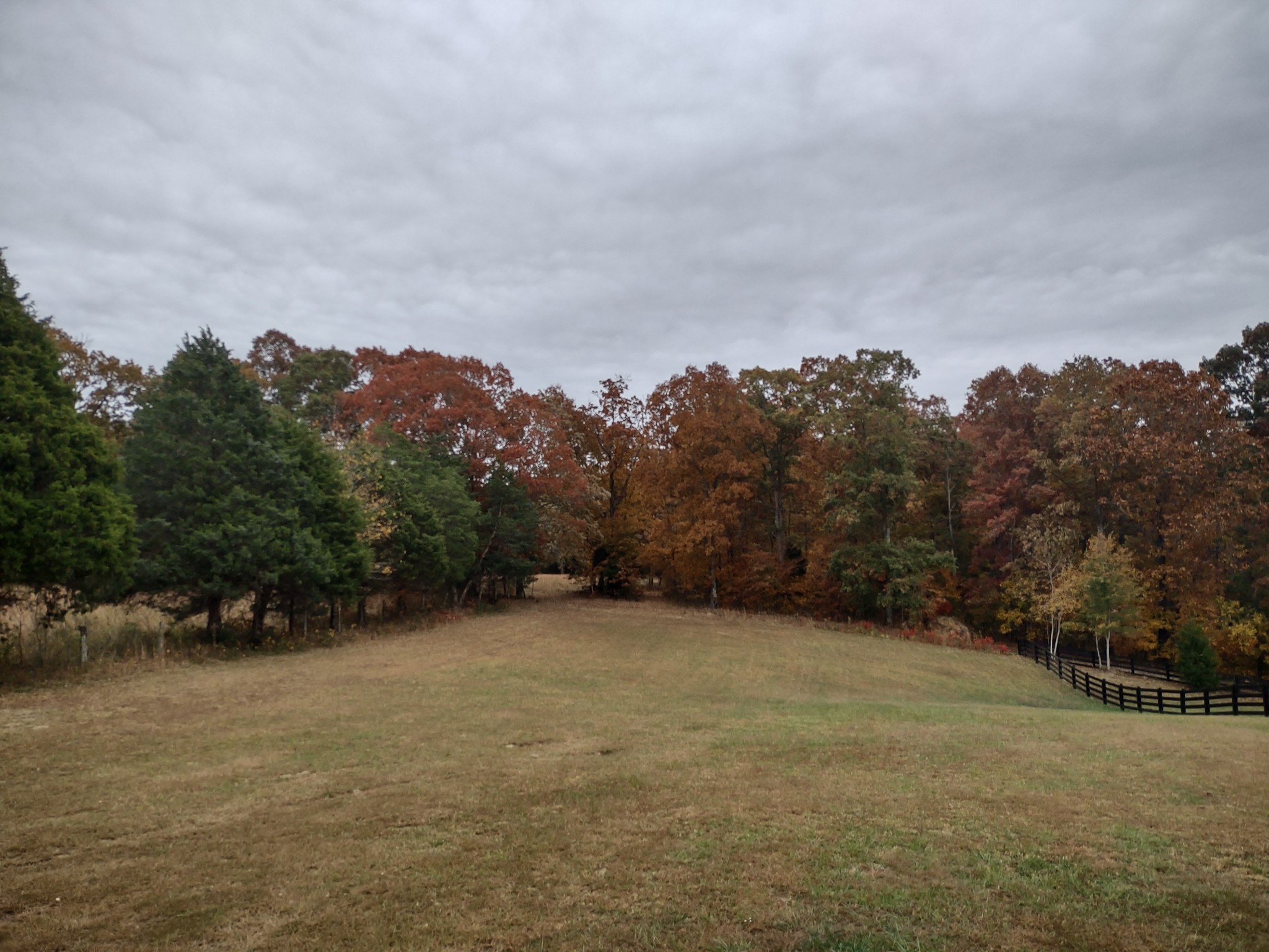 1239 Oak Grove Road Dickson, TN 37055 - Photo 54 of 54 a view of an outdoor space and a yard