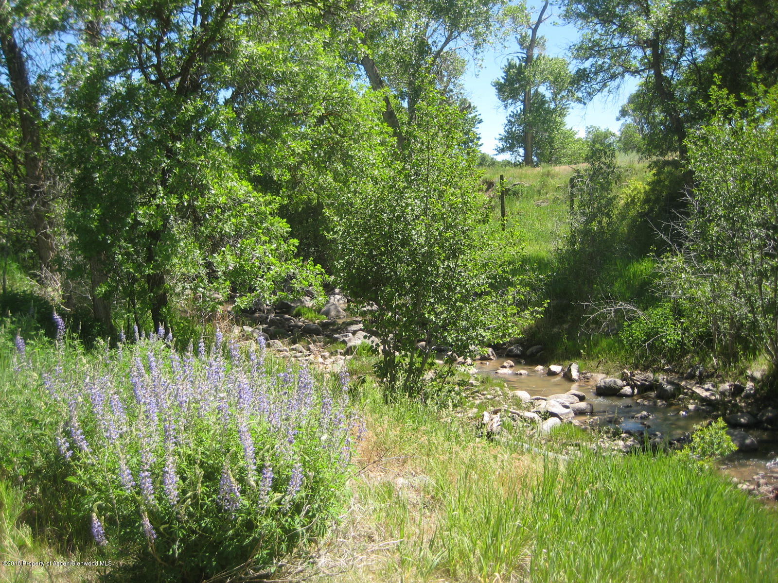 Tbd Tbd County Road, Unit 311 New Castle, CO 81647 - Photo 1 of 5 2018-05-31 04.25.12