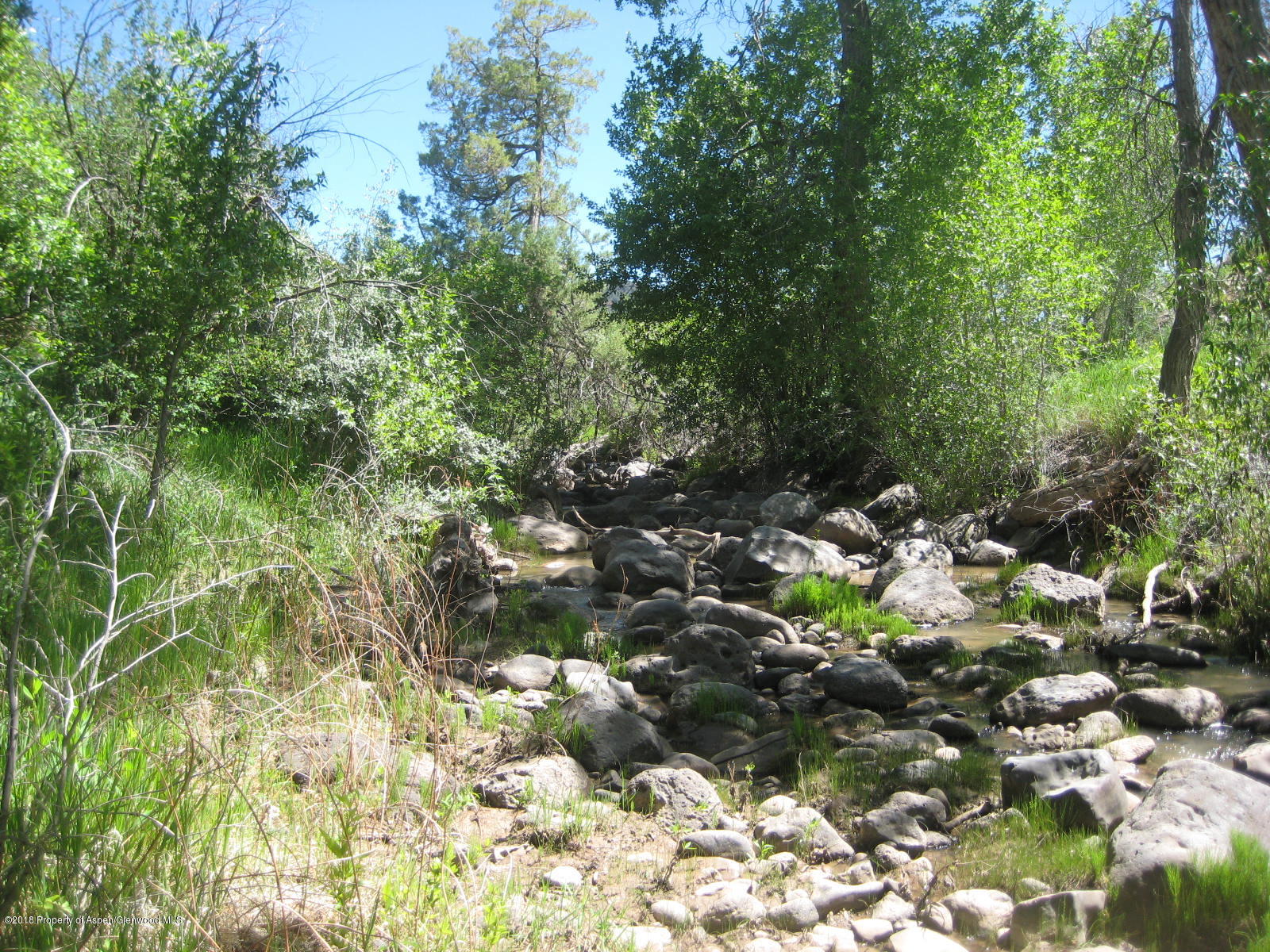 Tbd Tbd County Road, Unit 311 New Castle, CO 81647 - Photo 3 of 5 2018-05-31 04.25.38