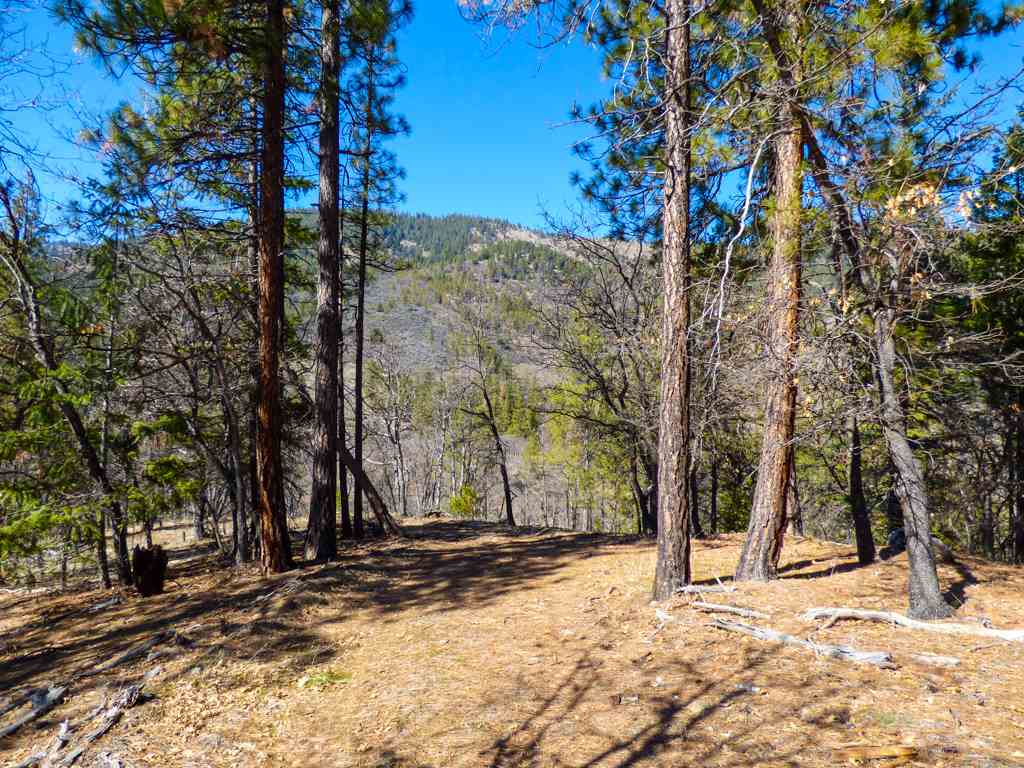 0 Greenhorn Road Yreka, CA 96097 - Photo 22 of 27 Gallery Image 22