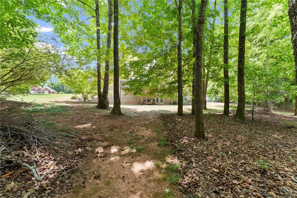 6643 Windvane Point Clermont, GA 30527 - Photo 63 of 88 a view of outdoor space and trees