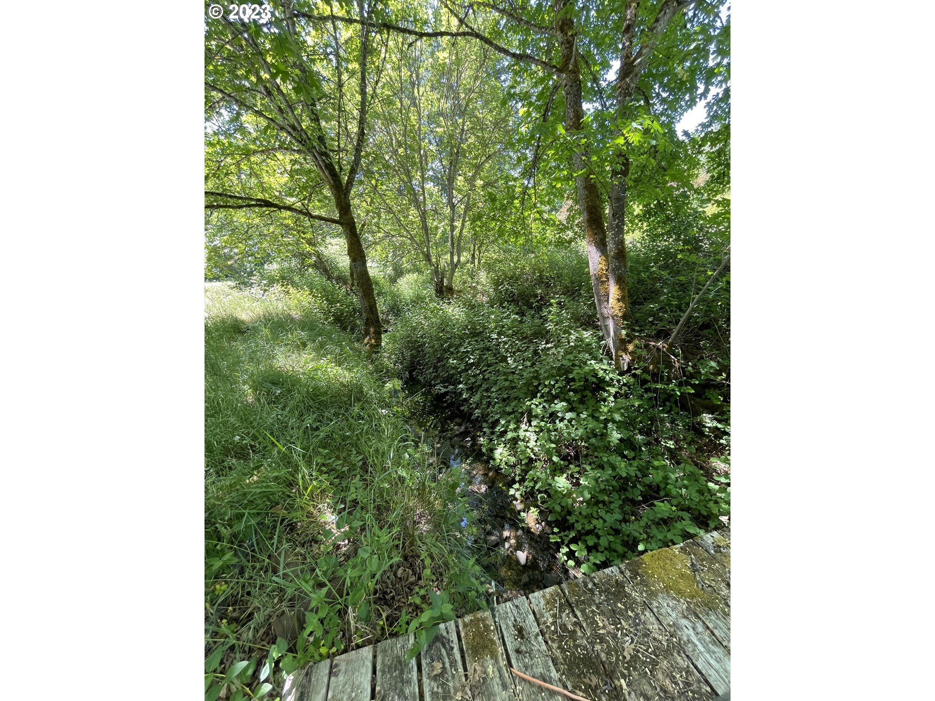3524 Shoestring Road Riddle, OR 97469 - Photo 17 of 21 a view of a yard with plants and a bench