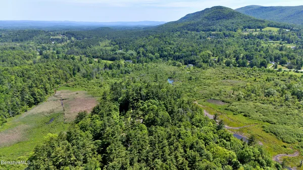 a big yard with lots of green space and trees