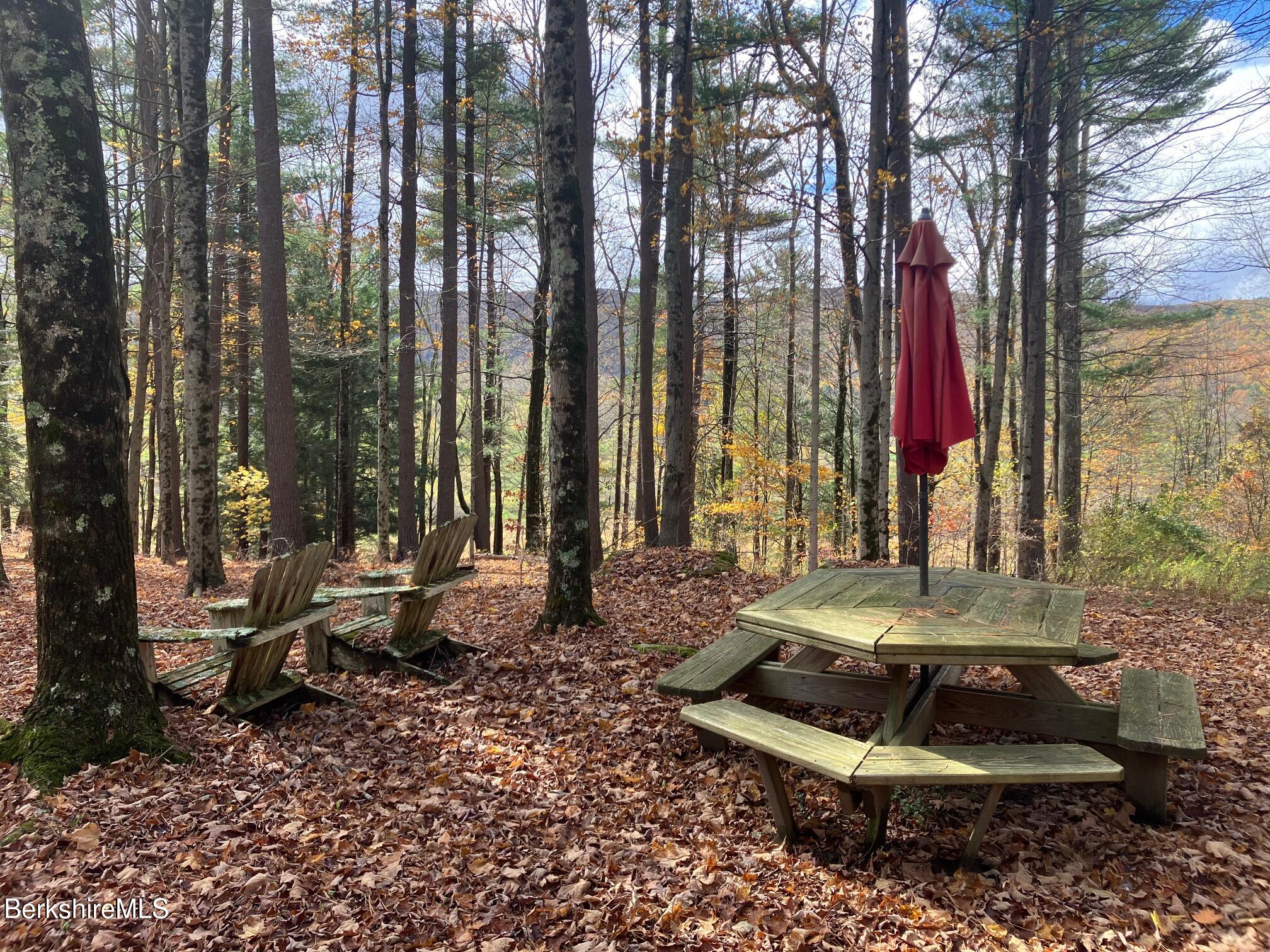 173 Hillsdale Road Egremont, MA 01230 - Photo 17 of 86 IMG_7840