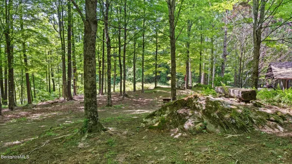 a view of a lush green space