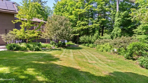 a view of a backyard with plants