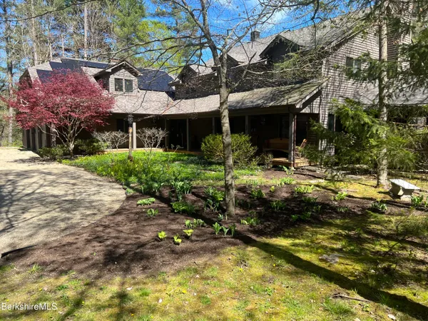 a view of a garden with plants and large trees