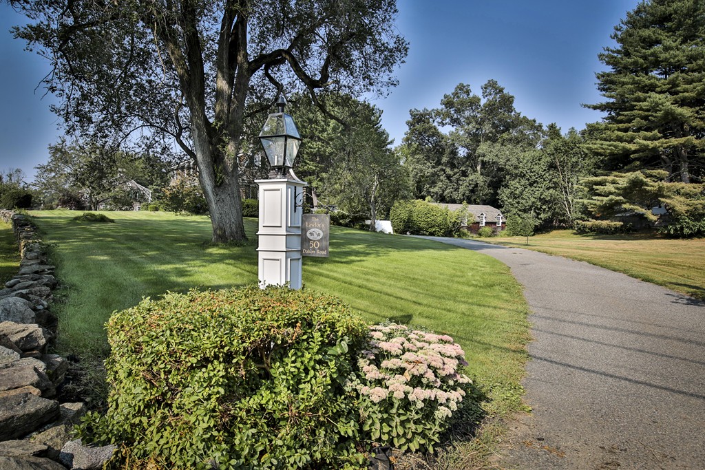 50 Dalton Road Chelmsford, MA 01824 - Photo 3 of 27 a view of a garden with a tree