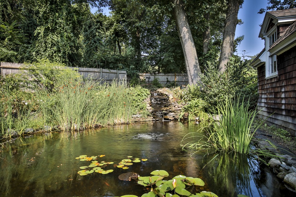 50 Dalton Road Chelmsford, MA 01824 - Photo 6 of 27 a backyard of a house with lots of green space and lake view