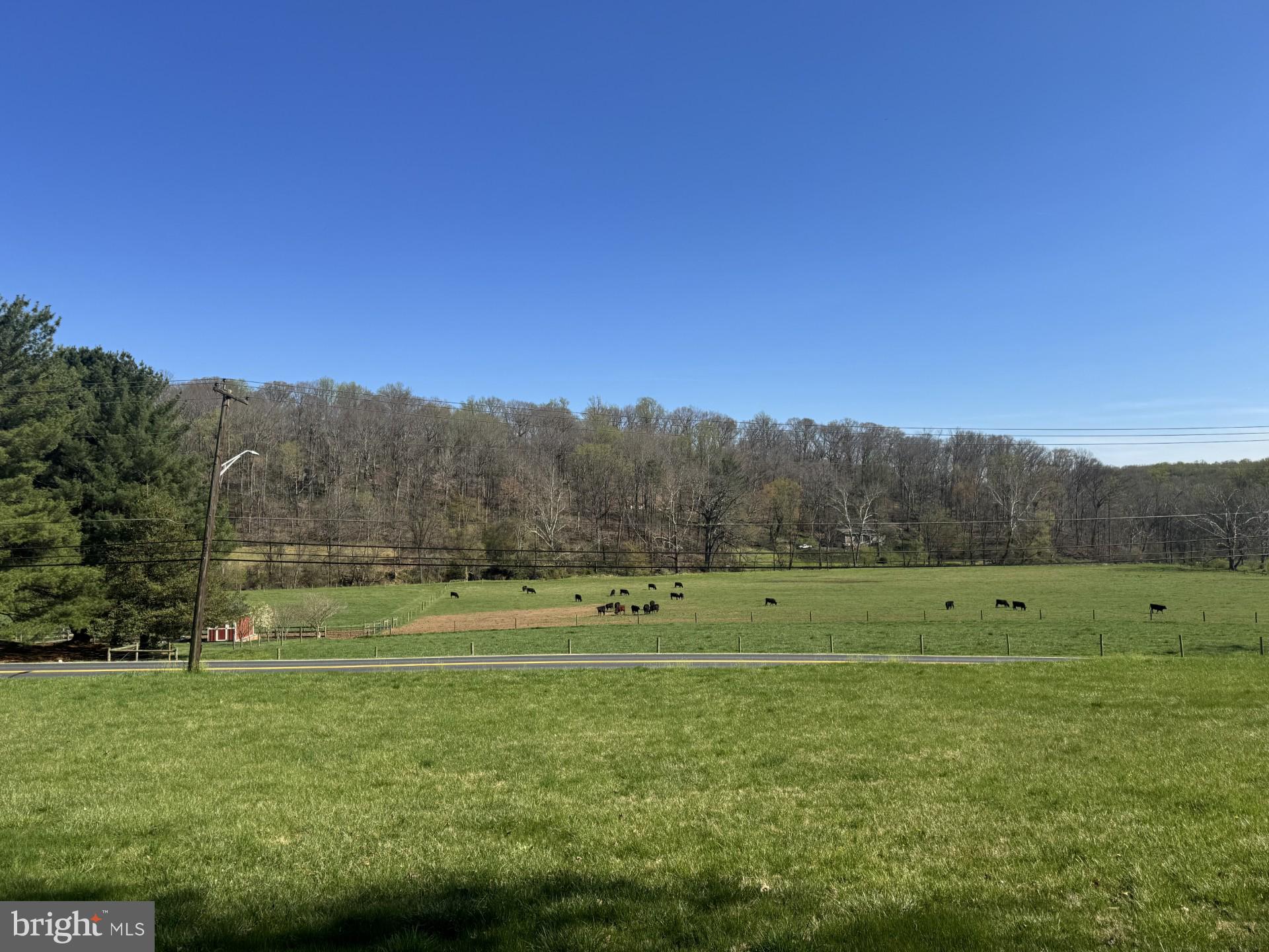 11934 Harford Road Glen Arm, MD 21057 - Photo 30 of 31