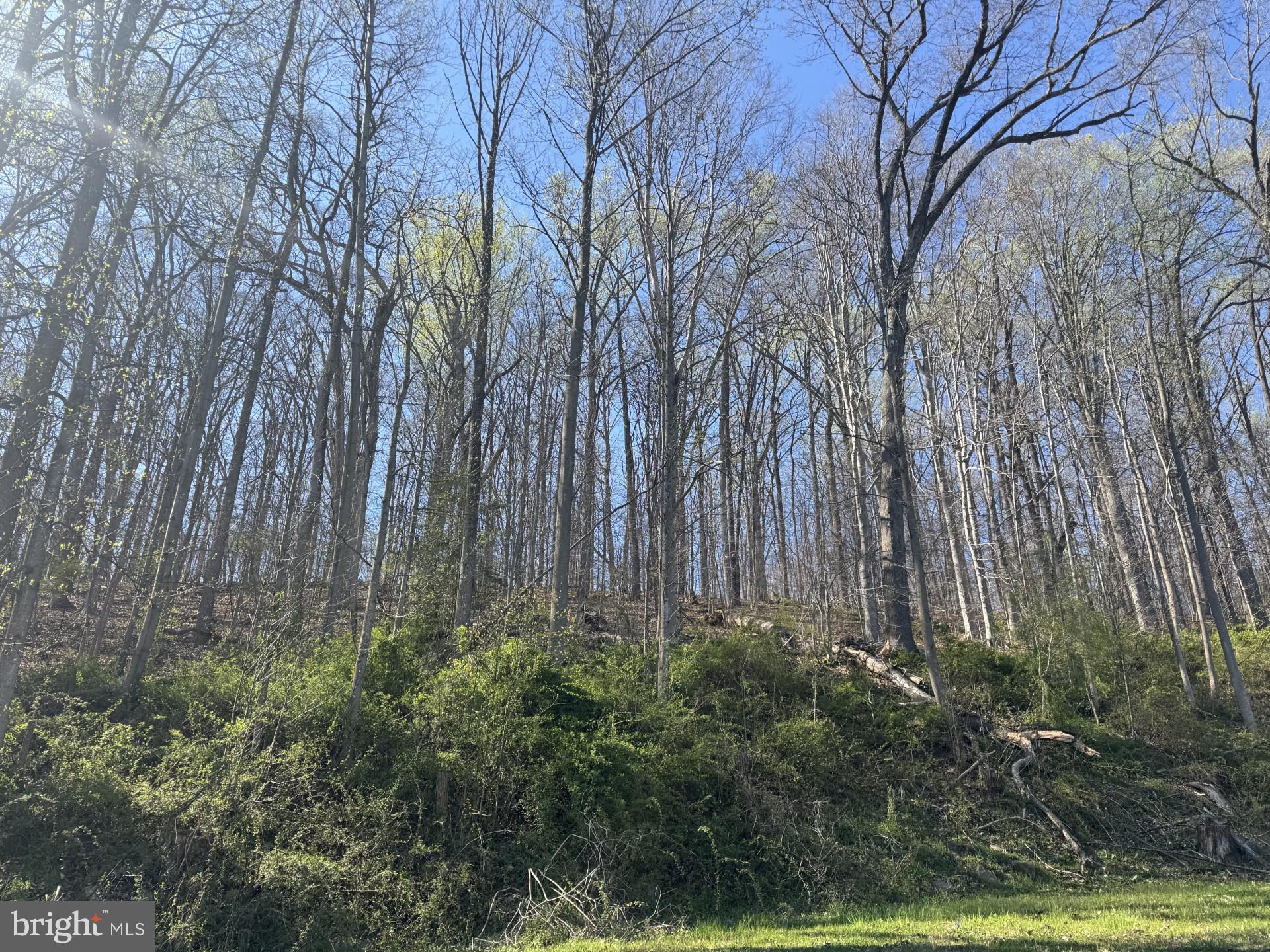 11934 Harford Road Glen Arm, MD 21057 - Photo 31 of 31