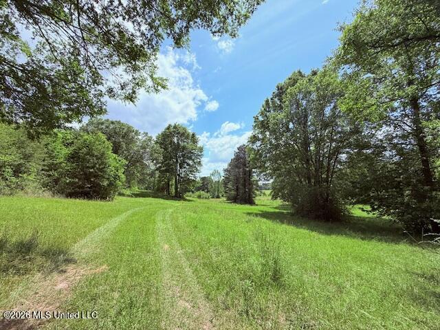 37 Fortenberry Road Tylertown, MS 39667 - Photo 74 of 83 IMG_3713
