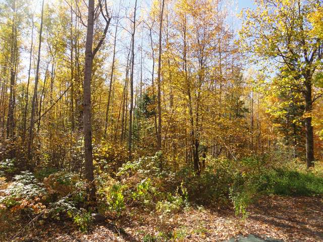 351 Peshtigo River Road Laona, WI 54541 - Photo 8 of 19 Gallery Image 8