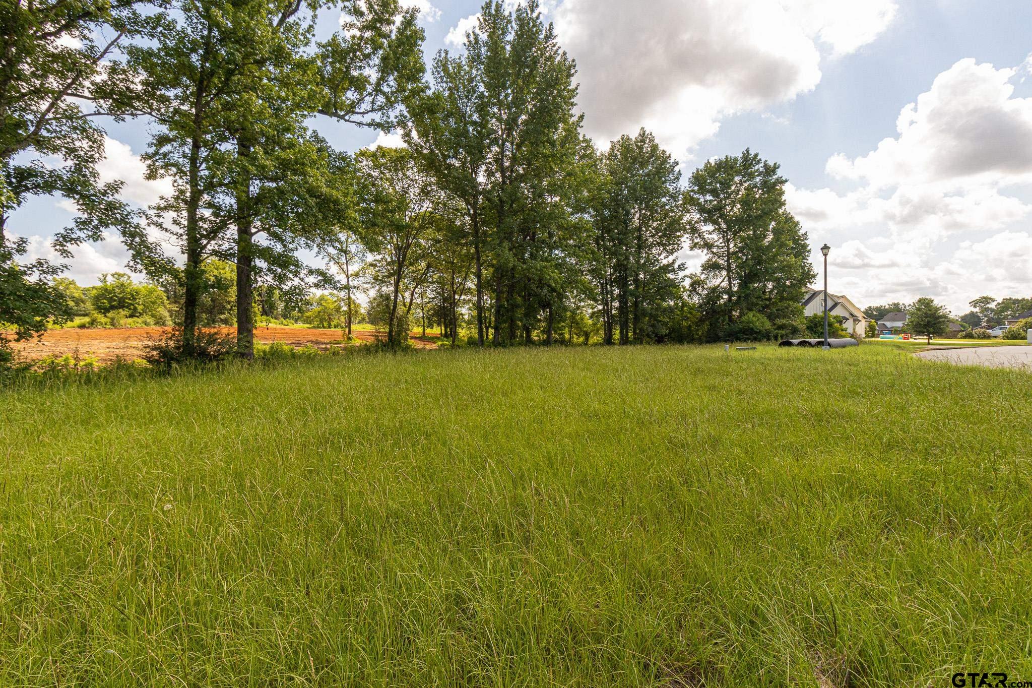 200 Coventry Street Bullard, TX 75757 - Photo 11 of 15