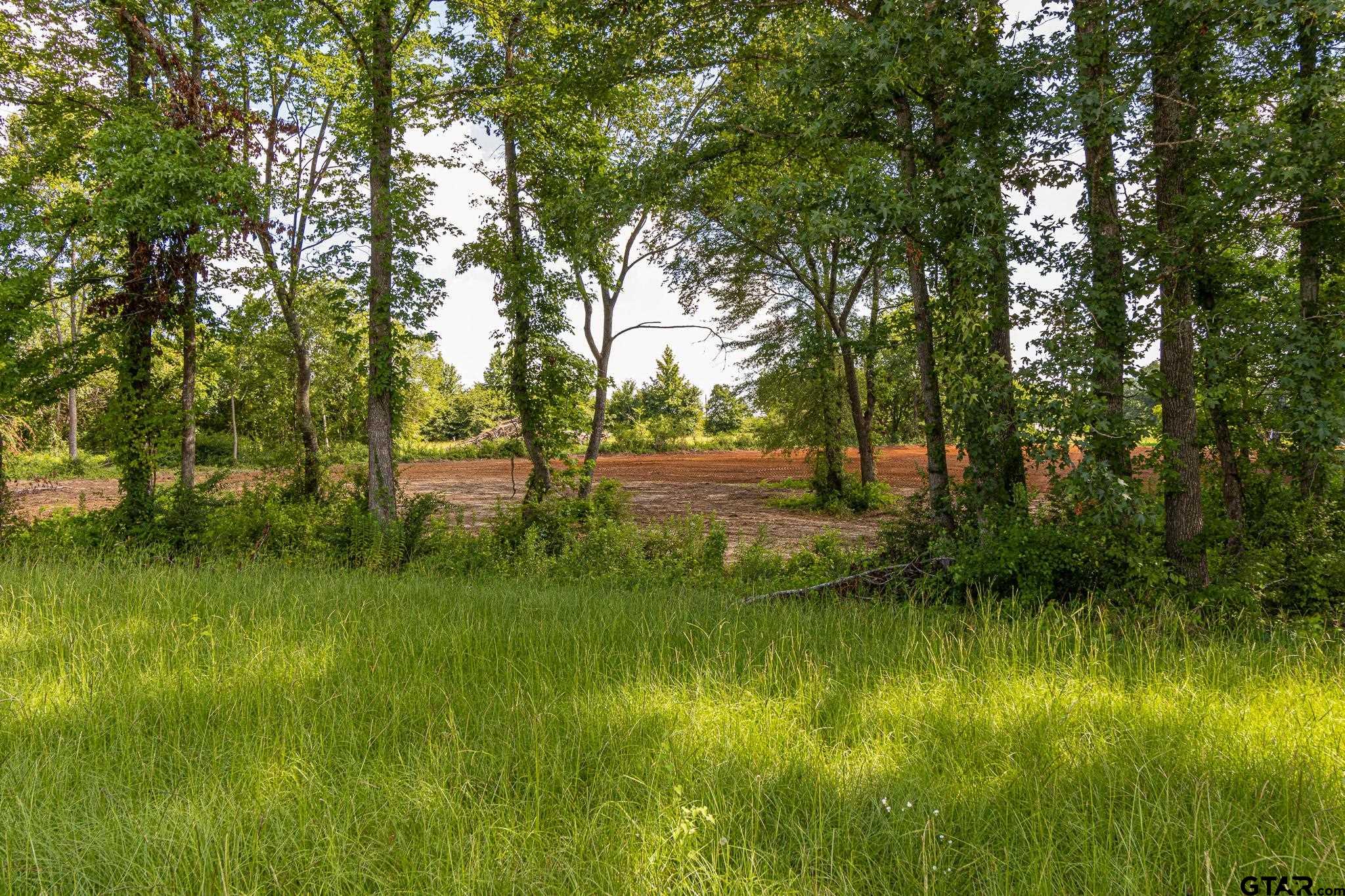 200 Coventry Street Bullard, TX 75757 - Photo 3 of 15