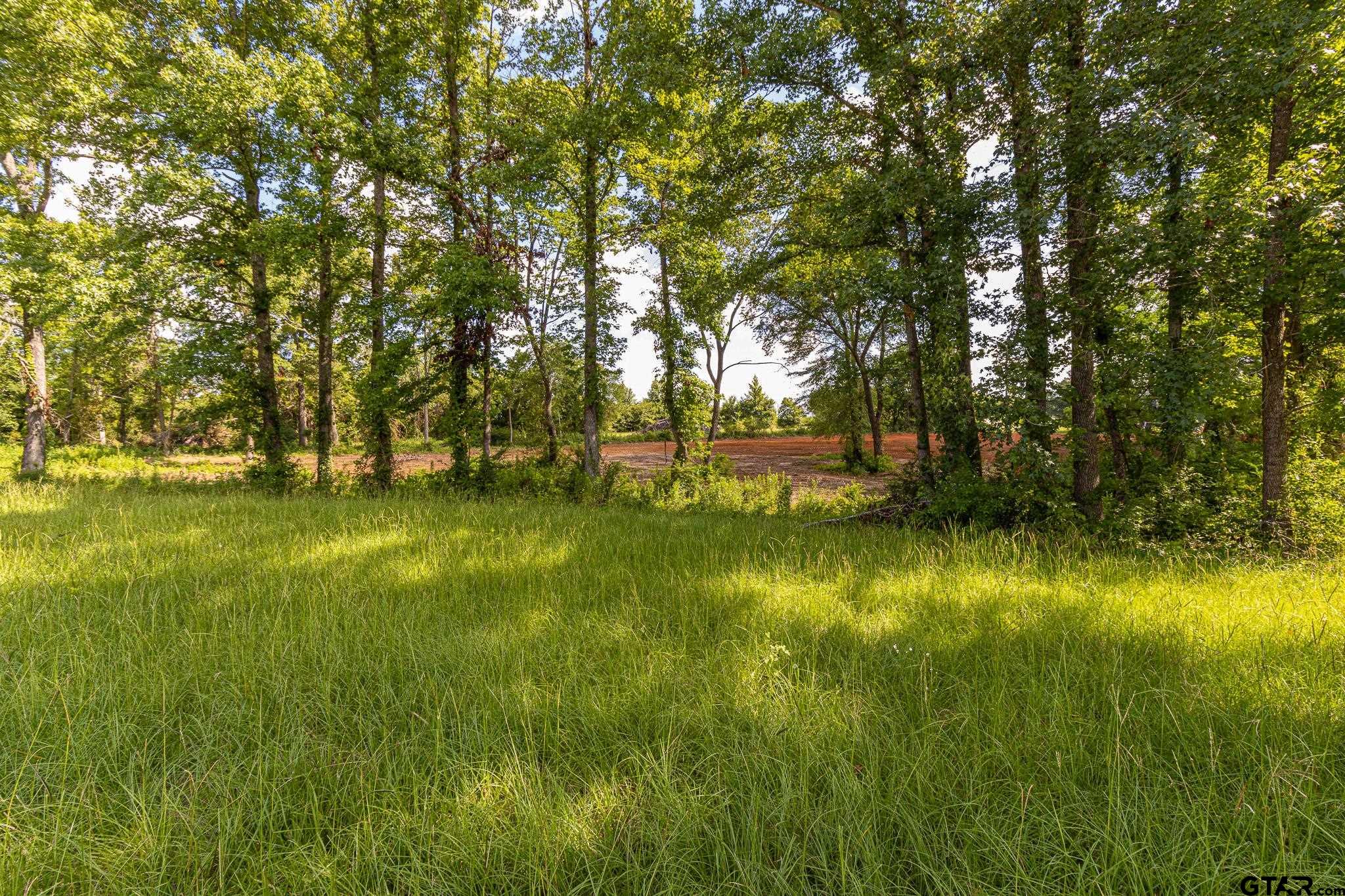 200 Coventry Street Bullard, TX 75757 - Photo 4 of 15