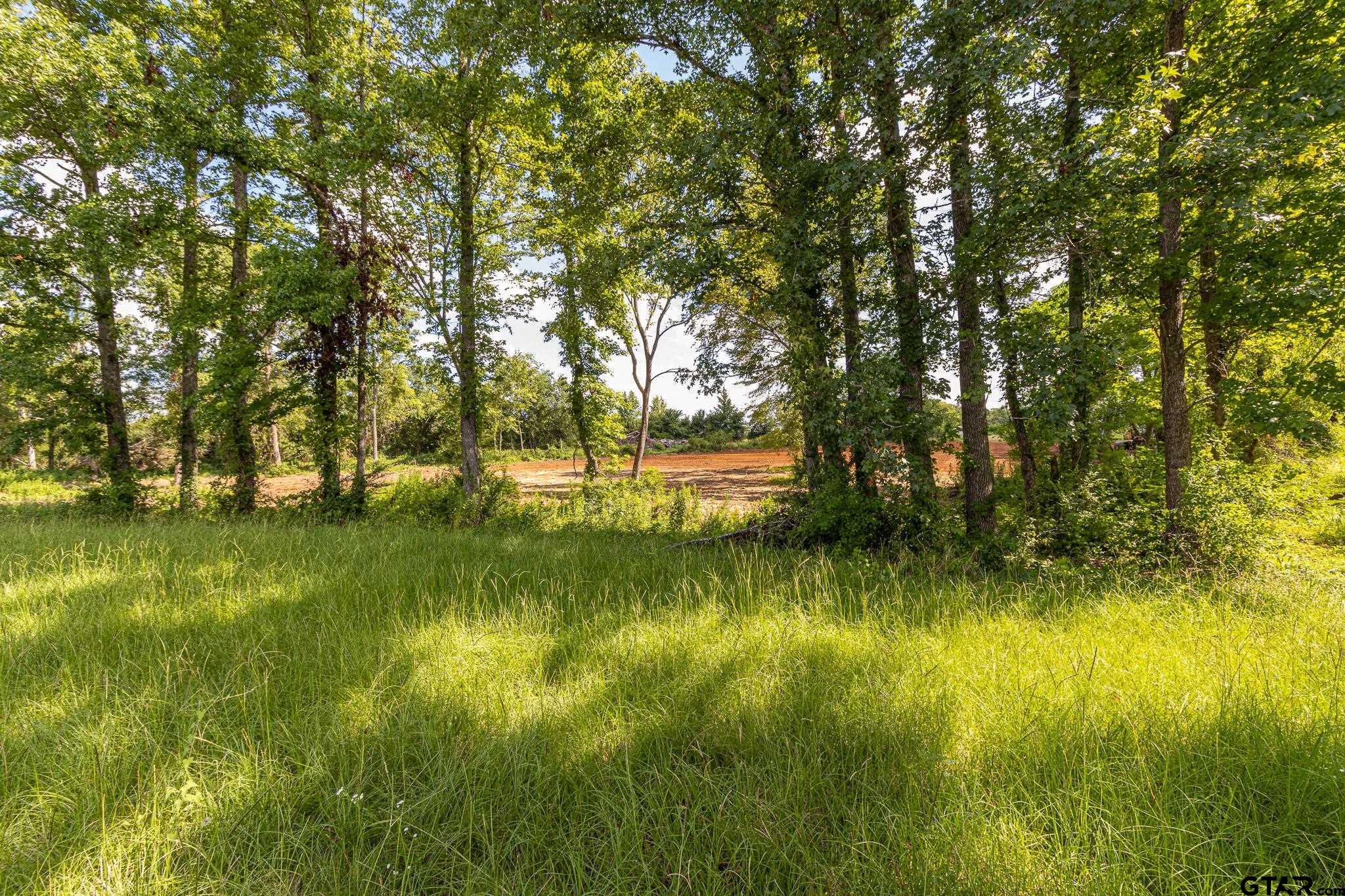 200 Coventry Street Bullard, TX 75757 - Photo 6 of 15