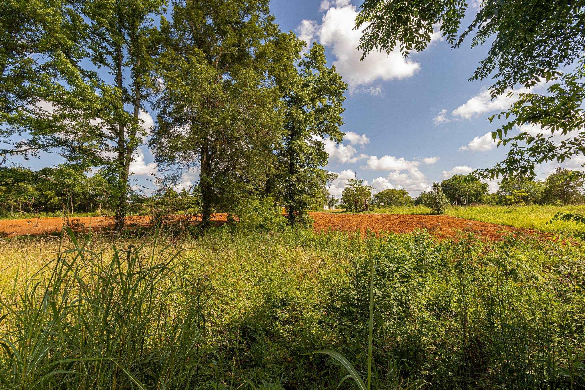 200 Coventry Street Bullard, TX 75757 - Photo 8 of 15