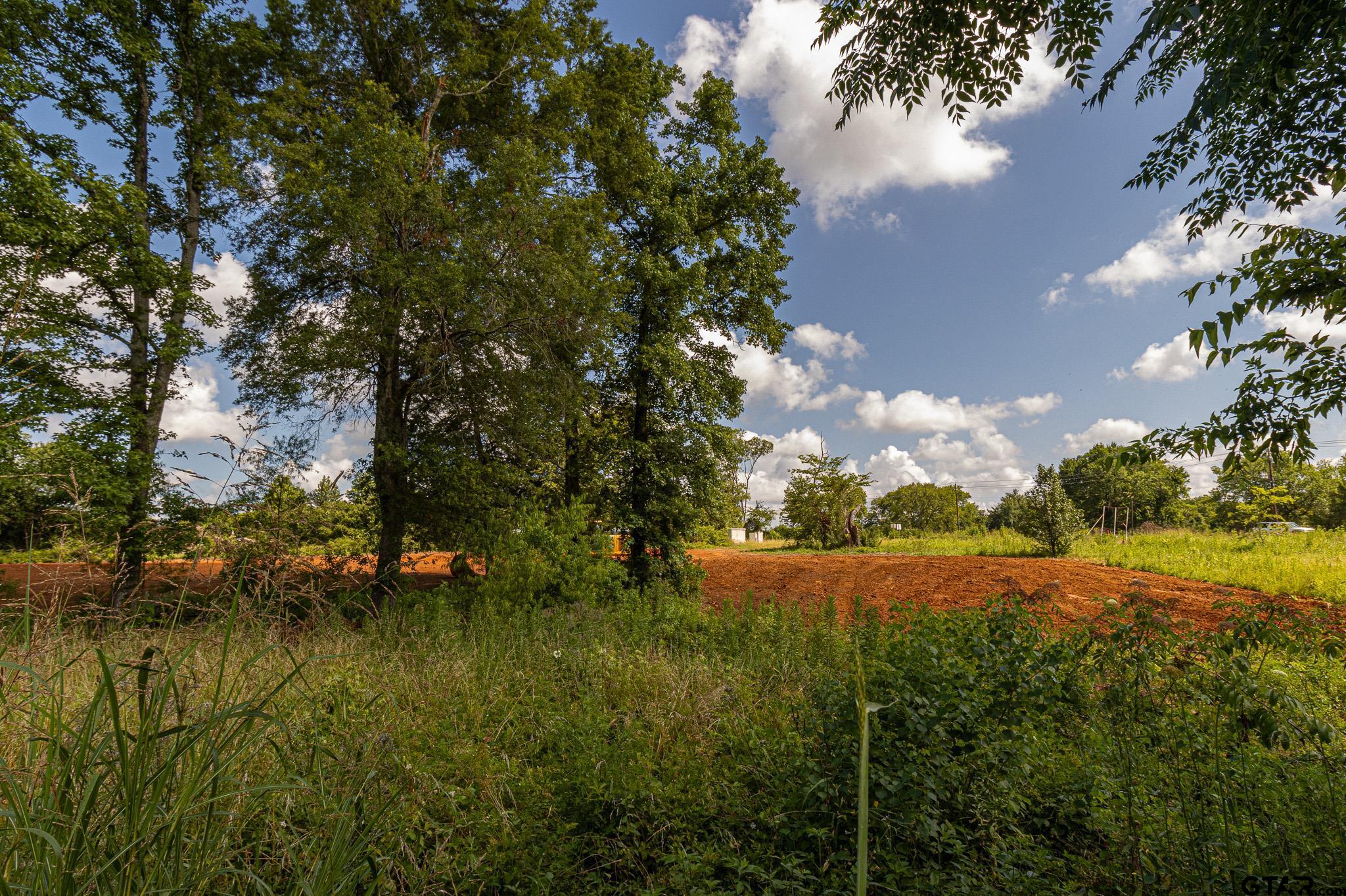 200 Coventry Street Bullard, TX 75757 - Photo 9 of 15