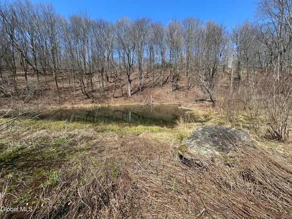 $59,900 | 137 Easy Street, Jefferson, NY 12167