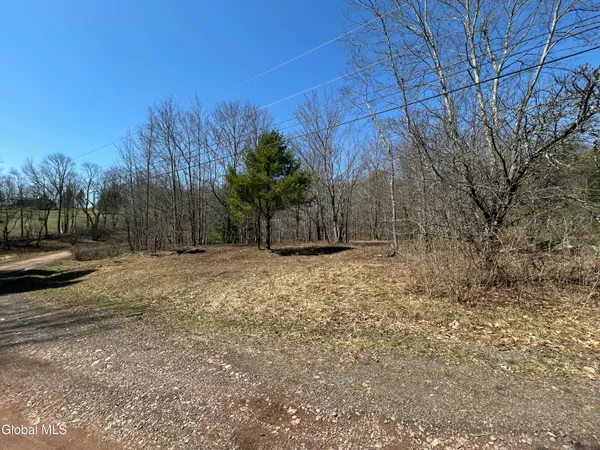 $59,900 | 137 Easy Street, Jefferson, NY 12167