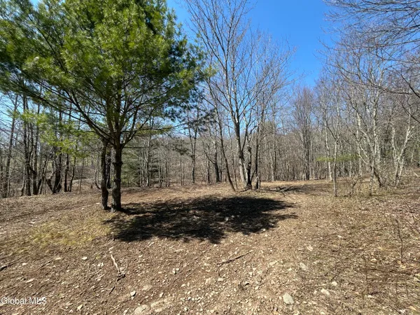 $59,900 | 137 Easy Street, Jefferson, NY 12167