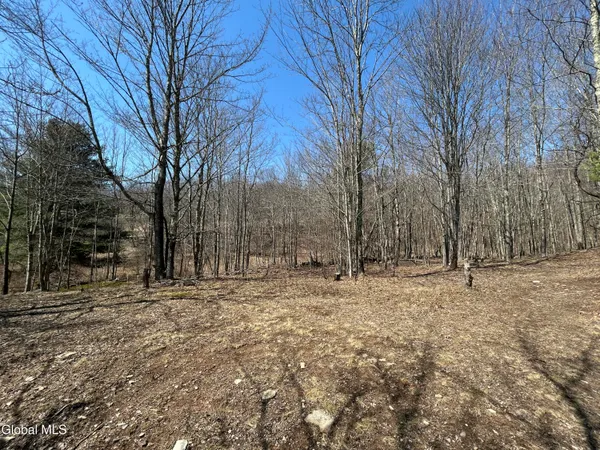 $59,900 | 137 Easy Street, Jefferson, NY 12167