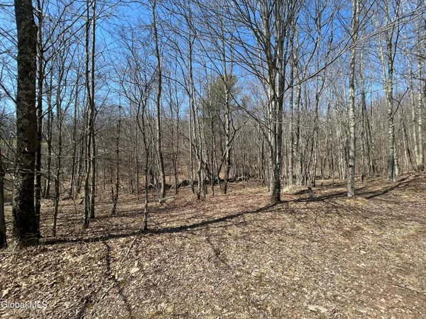 $59,900 | 137 Easy Street, Jefferson, NY 12167