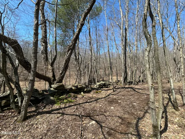 $59,900 | 137 Easy Street, Jefferson, NY 12167