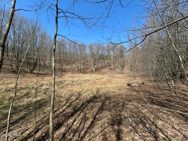 $59,900 | 137 Easy Street, Jefferson, NY 12167