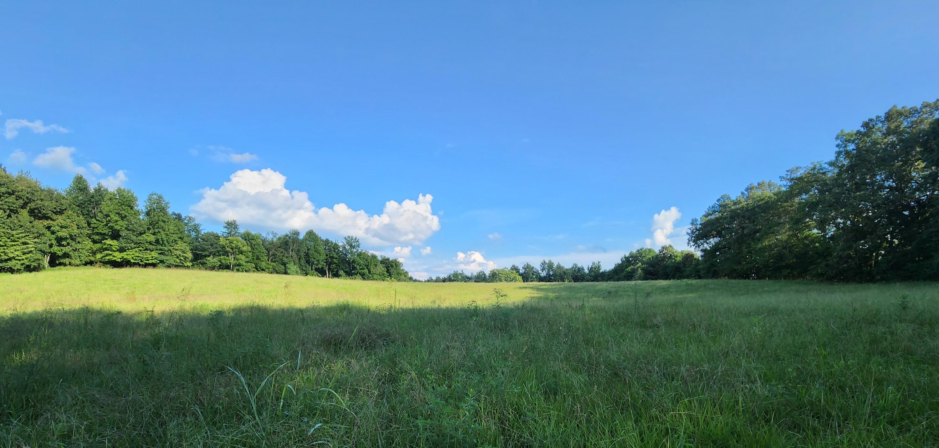 629 Tobin Ridge Road Albany, KY 42602 - Photo 3 of 12 20220808_173439
