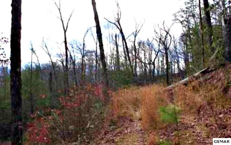 68 Big Bear Ridge Road Sevierville, TN 37876 - Photo 14 of 15 Gallery Image 14