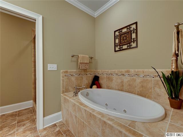 337 Spring Street, Unit 337 Davidson, NC 28036 - Photo 9 of 16 Gallery Image 9