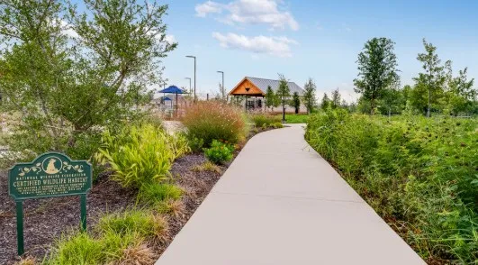 a view of a pathway both side of building