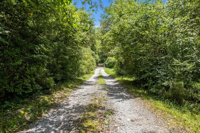 a big yard with lots of green space and house