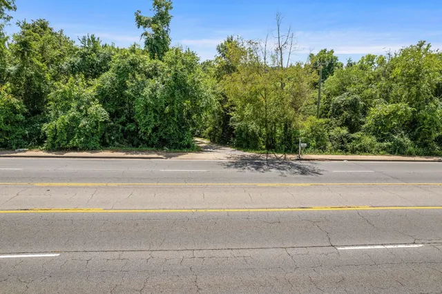 a view of a yard and a street