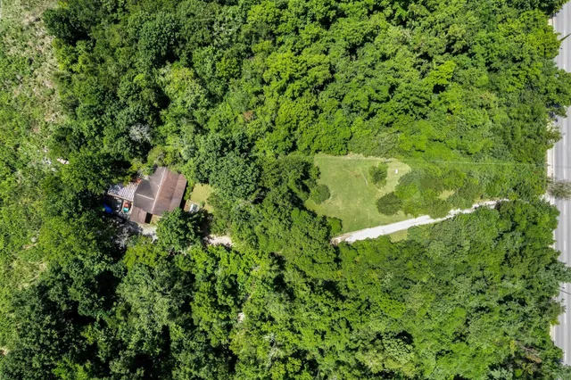 a view of a forest with a street