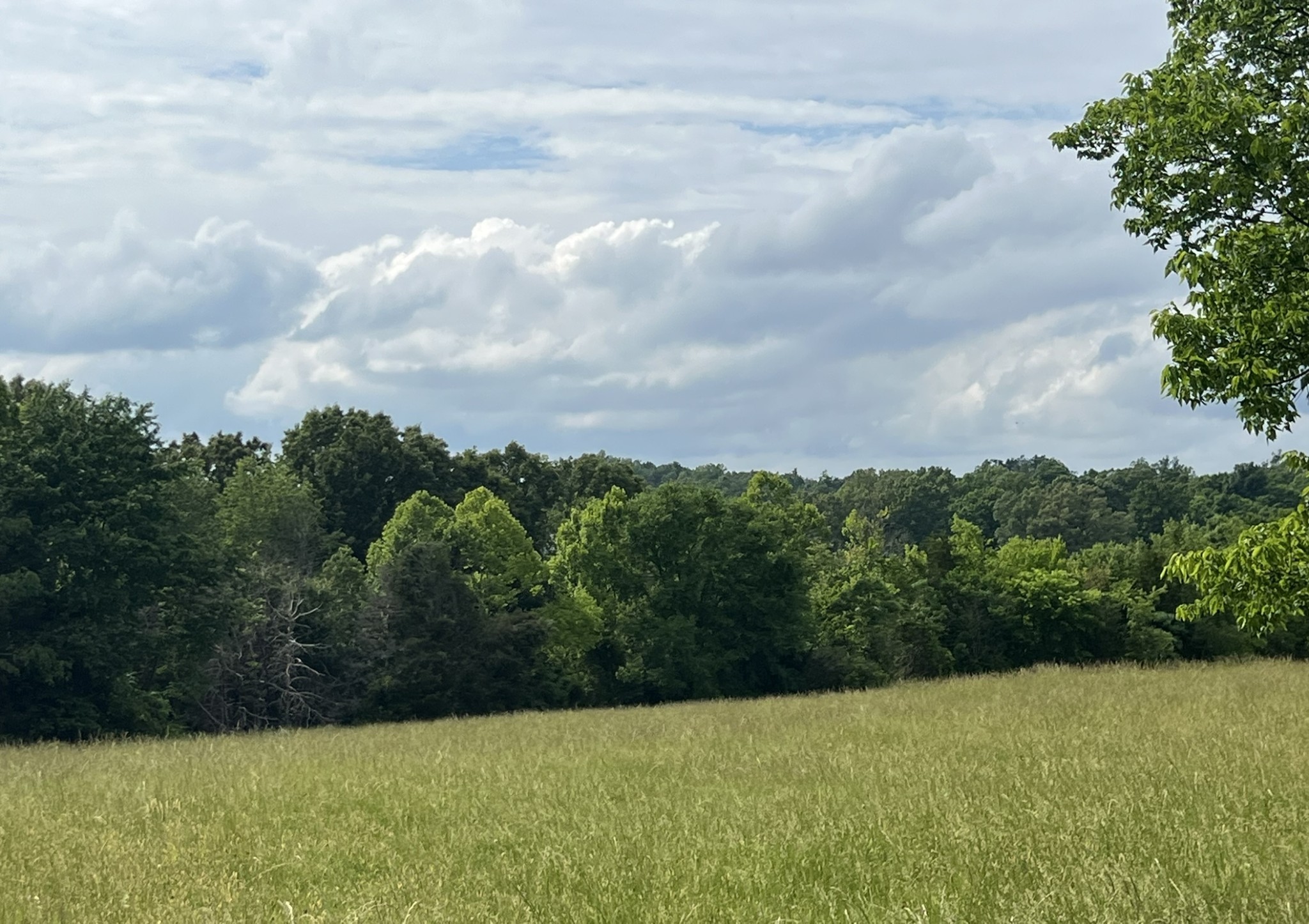 0 West George Durham Road Westmoreland, TN 37186 - Photo 8 of 9